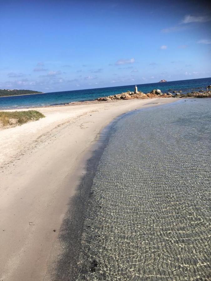 Апартаменты La Corse Les Pieds Dans L'Eau Пинареллу Экстерьер фото